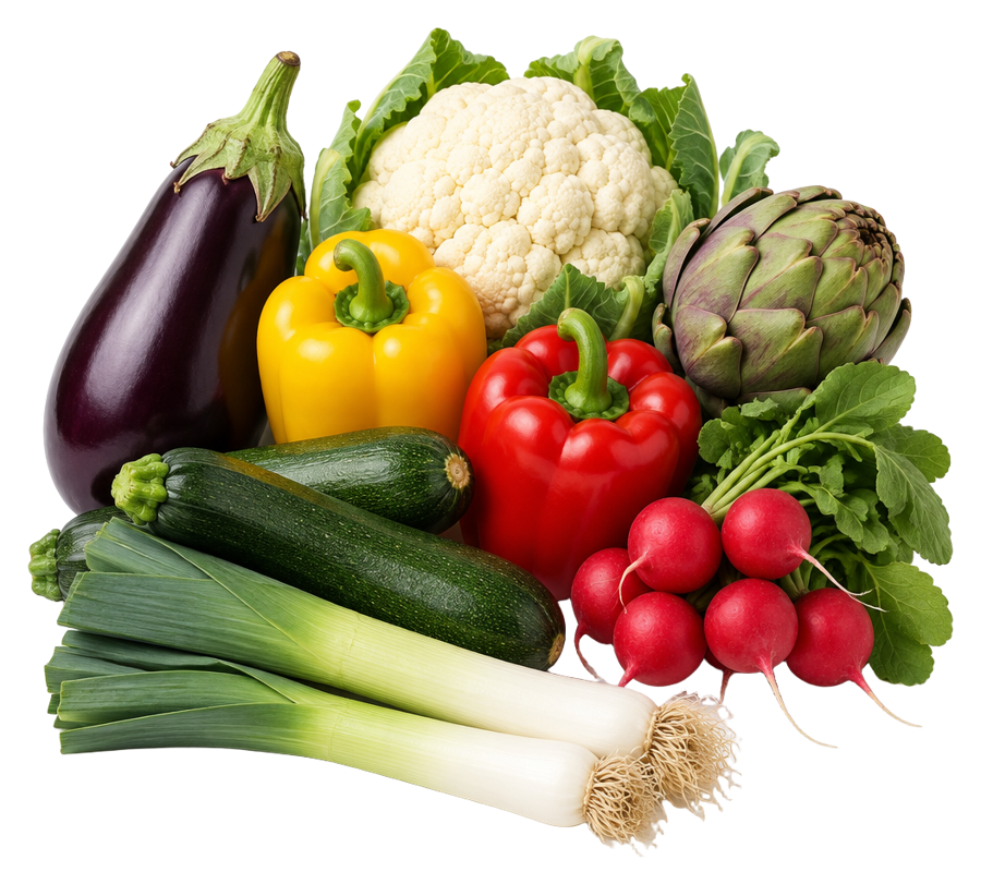 Melanzana, peperoni, zucchine, porri, cavolfiore, carciofo e ravanelli
